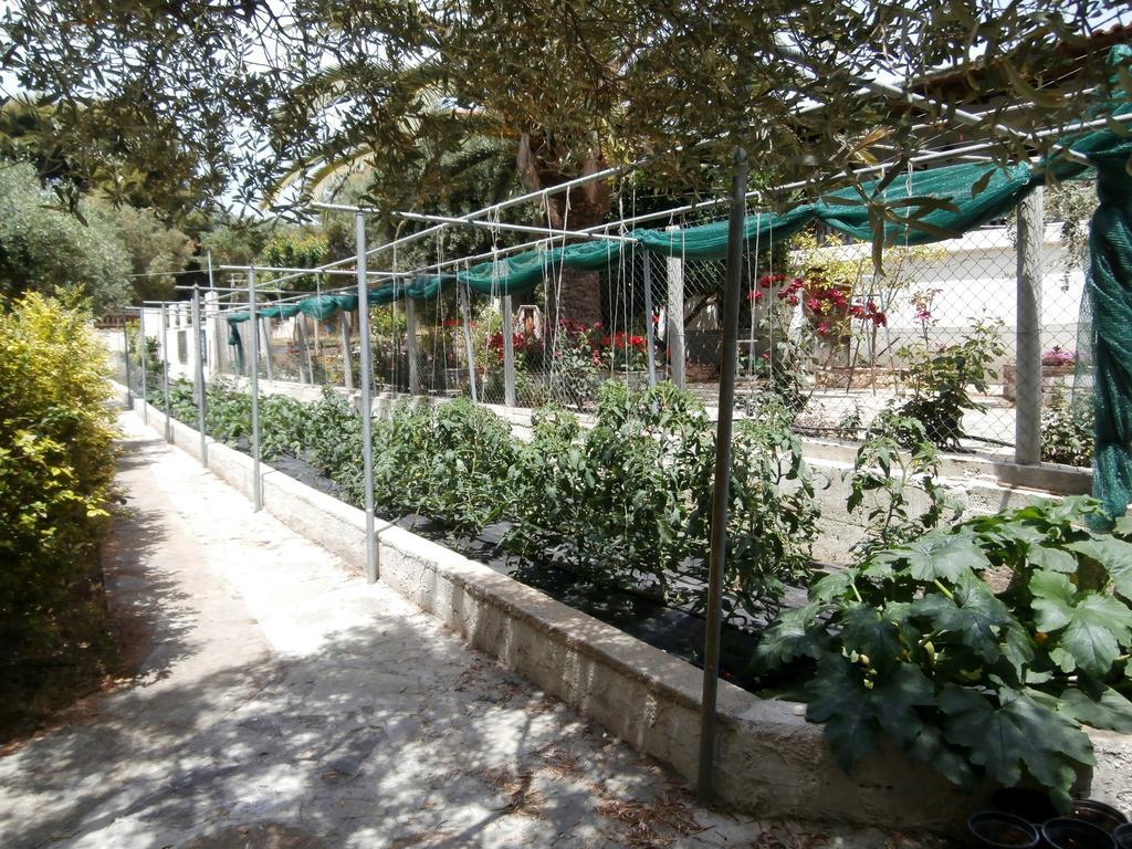 Olive House Apartment Elia Nikitis Luaran gambar
