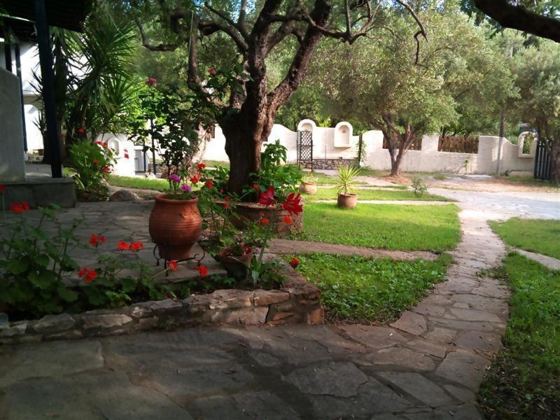 Olive House Apartment Elia Nikitis Luaran gambar